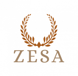 ZESA - Digital Agentur aus Königstein und Wien